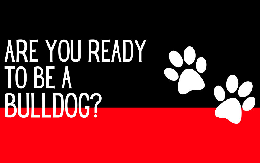 Are you ready to be a bulldog?