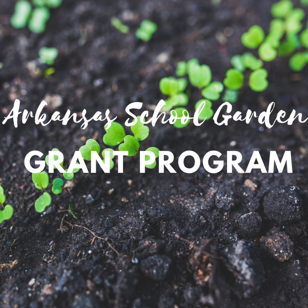 WHHS Agricultural Department Awarded School Garden Grant White Hall