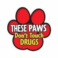 Red Ribbon Week