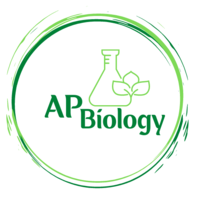 AP Biology Students Conduct Photosynthesis Labs