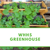 WHHS Green House