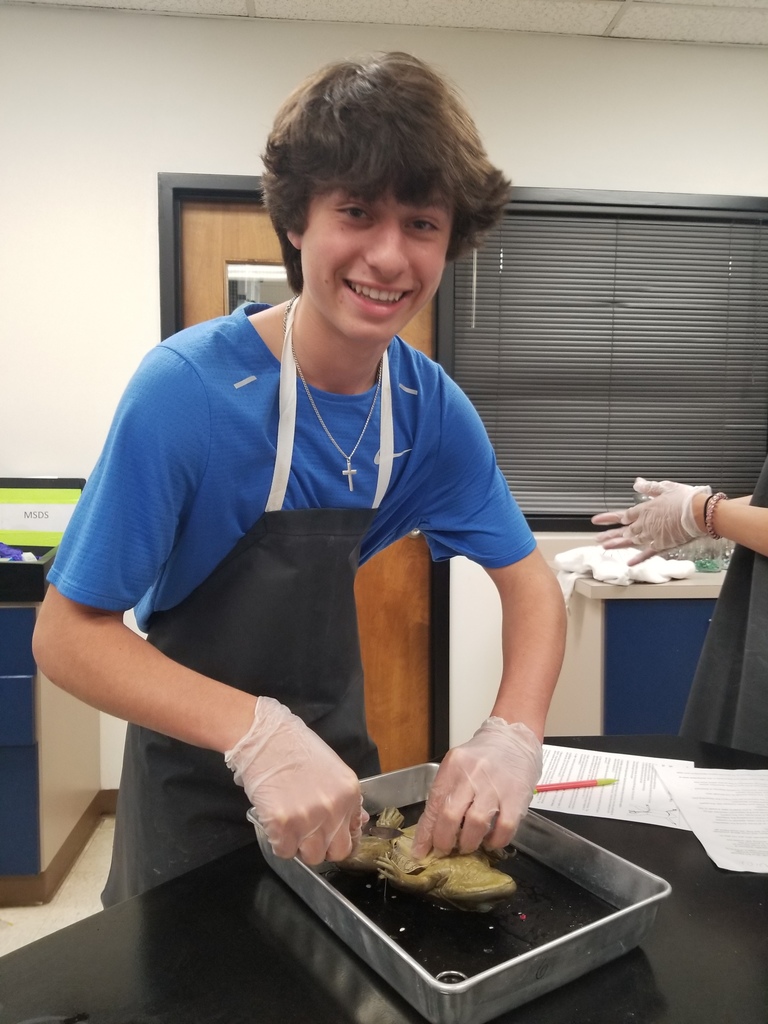 Holden Brown places his frog in the correct position to dissect.