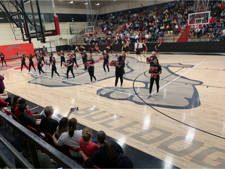 WHHS had a great Pep Rally on Friday!